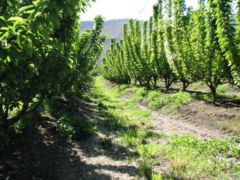 Sorell Creek TAS 7140