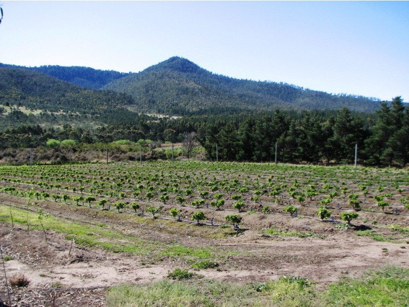 Sorell Creek TAS 7140