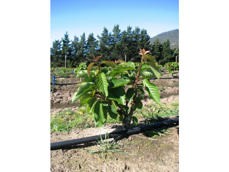 Sorell Creek TAS 7140