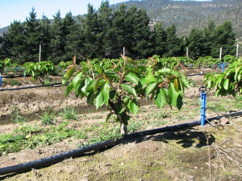 Sorell Creek TAS 7140