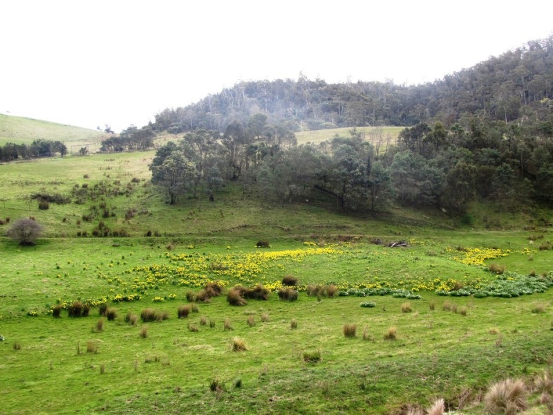 Lot 4/145 Cockatoo Gully Road, Elderslie TAS 7030