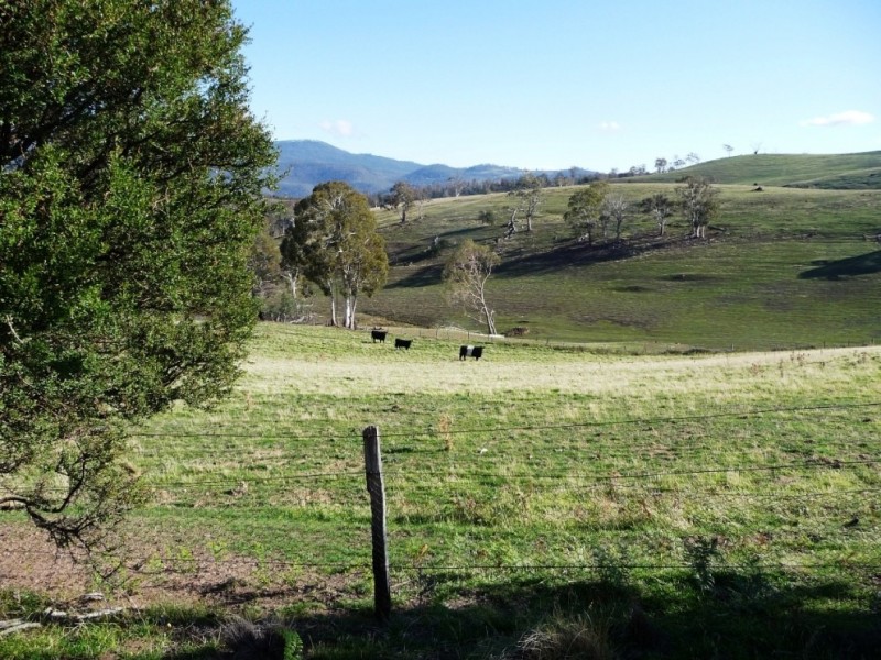 Lot 4/145 Cockatoo Gully Road, Elderslie TAS 7030