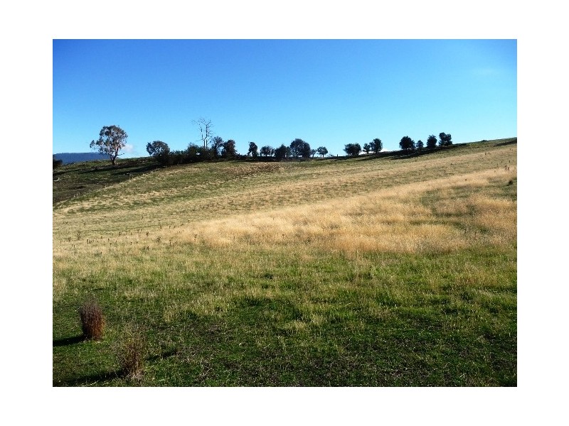 Lot 4/145 Cockatoo Gully Road, Elderslie TAS 7030