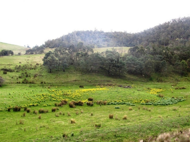 Lot 4/145 Cockatoo Gully Road, Elderslie TAS 7030