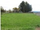 31 Patrick Street, Bothwell TAS 7030