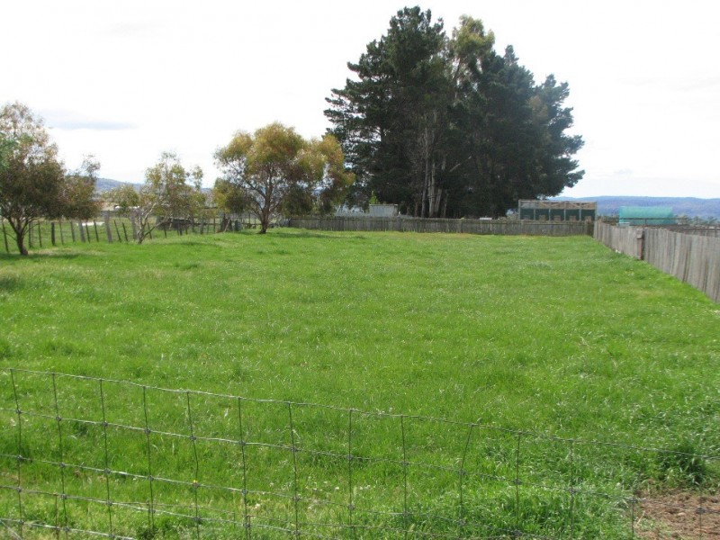 31 Patrick Street, Bothwell TAS 7030