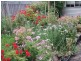 11 Quarrytown Road, Bagdad TAS 7030