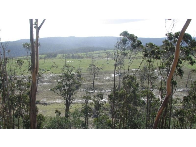 900 Swanston Road, Swanston TAS 7120