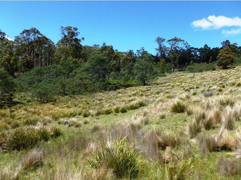 00 GRAHAMS ROAD, Colebrook TAS 7027