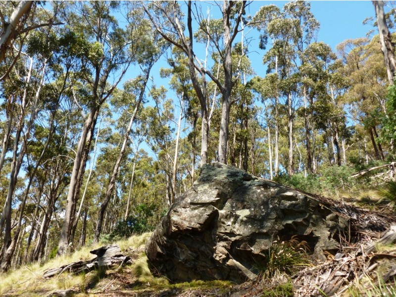 00 GRAHAMS ROAD, Colebrook TAS 7027