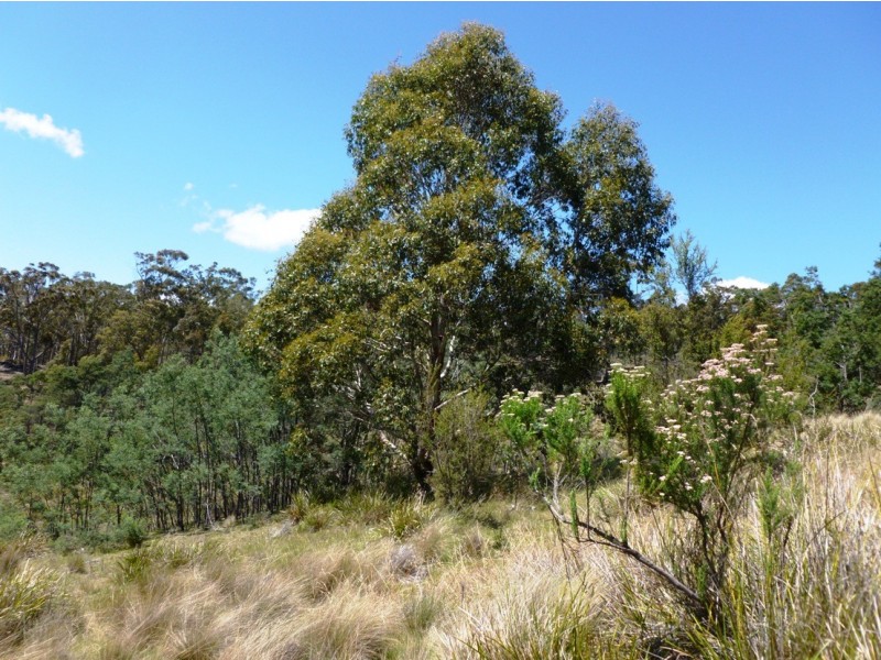 00 GRAHAMS ROAD, Colebrook TAS 7027