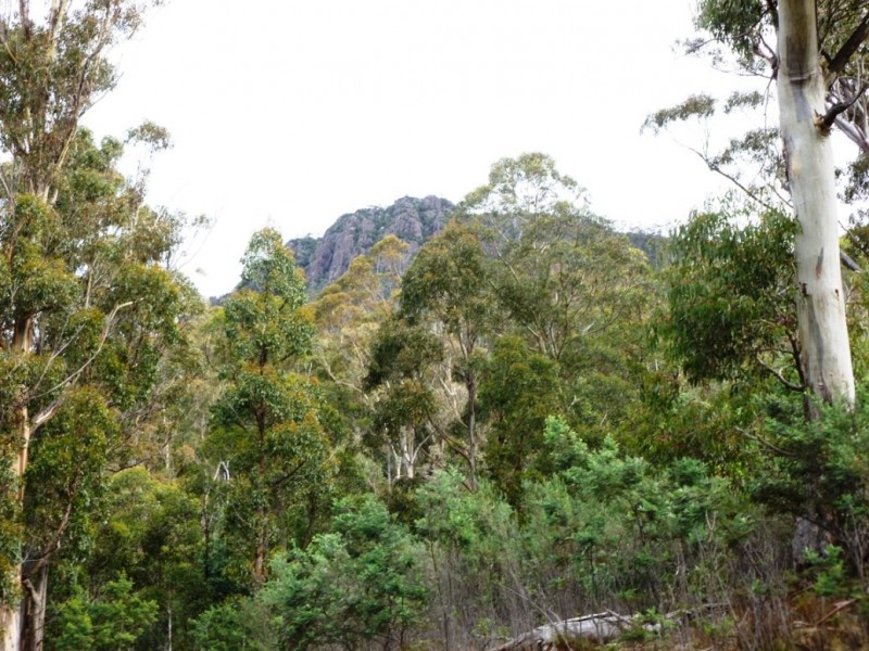 699 Church Road, Dromedary TAS 7030