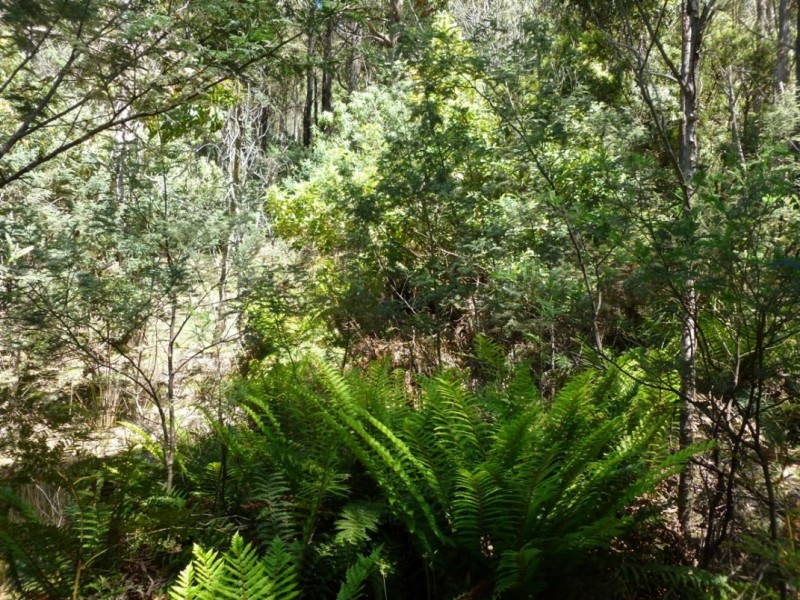 699 Church Road, Dromedary TAS 7030