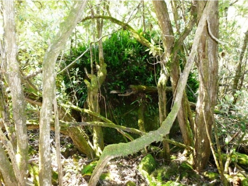 699 Church Road, Dromedary TAS 7030