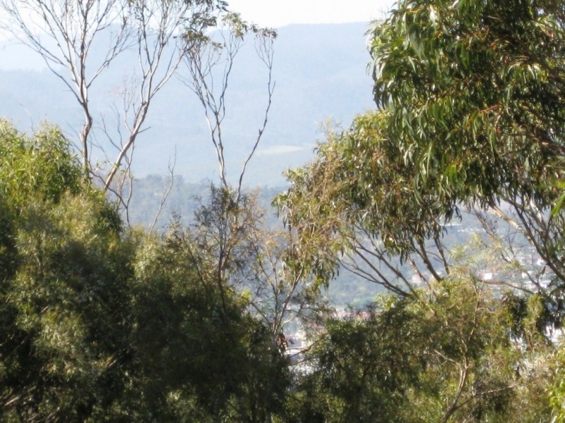 Mount Nelson TAS 7007