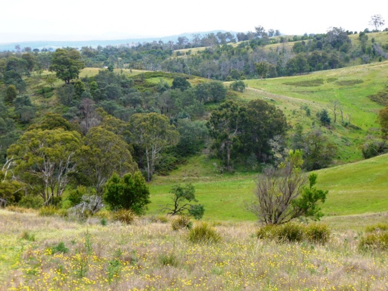 54 PARSONS ROAD, Gretna TAS 7140