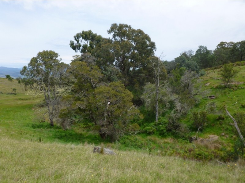 54 PARSONS ROAD, Gretna TAS 7140
