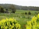 Lot 1/718 Tunnack Road, Parattah TAS 7120