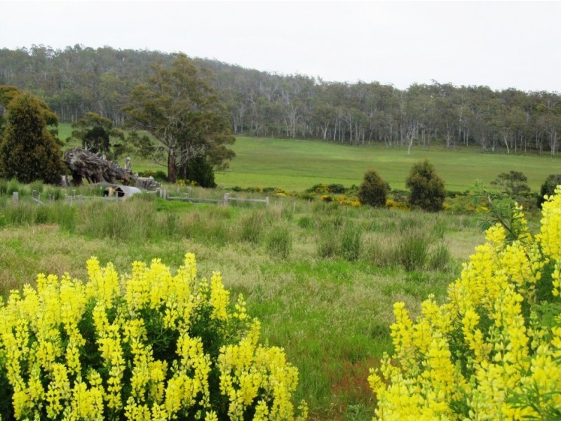 Lot 1/718 Tunnack Road, Parattah TAS 7120