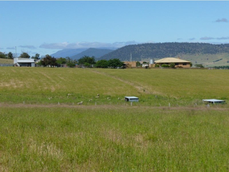 318  White Kangaroo Road, Campania TAS 7026