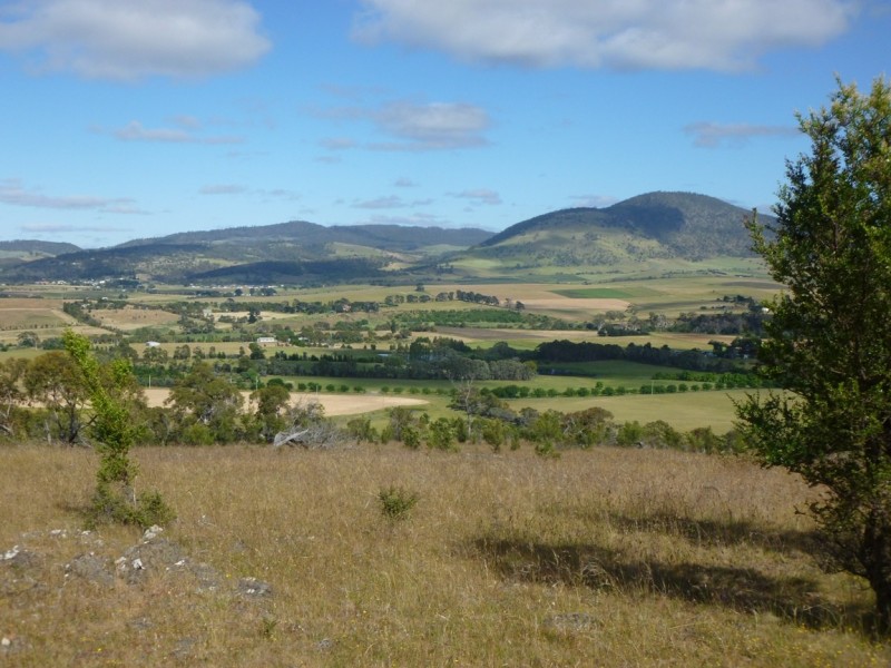 318  White Kangaroo Road, Campania TAS 7026