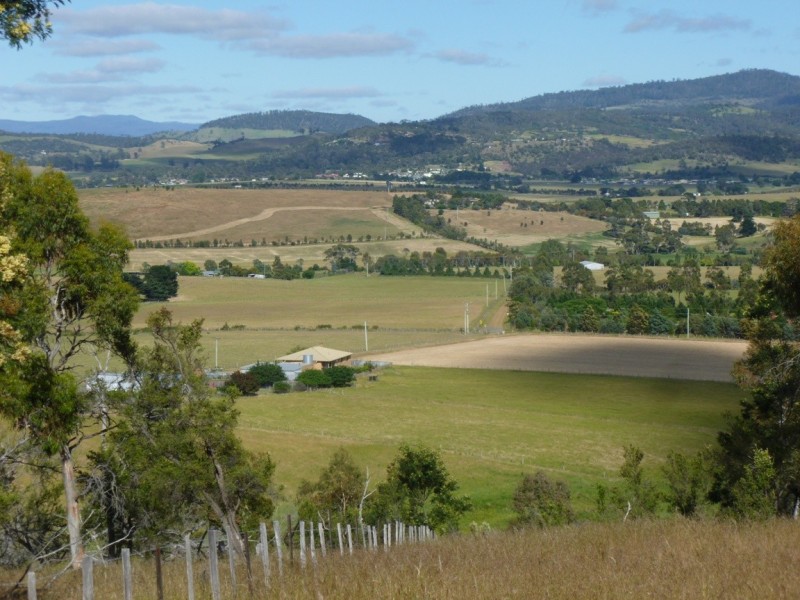 318  White Kangaroo Road, Campania TAS 7026