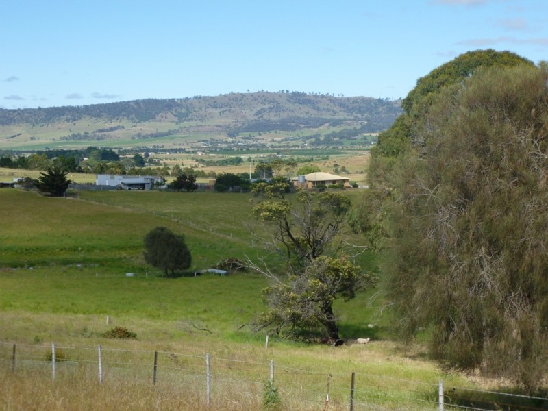 318  White Kangaroo Road, Campania TAS 7026