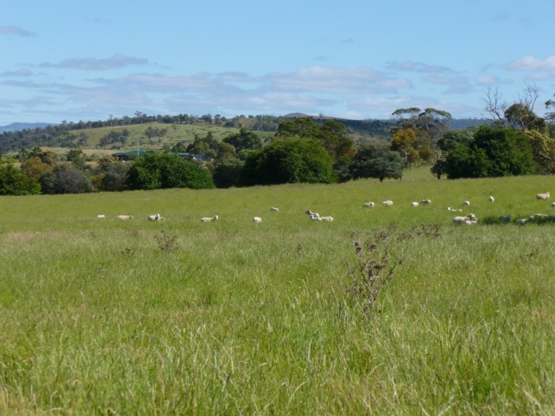 318  White Kangaroo Road, Campania TAS 7026