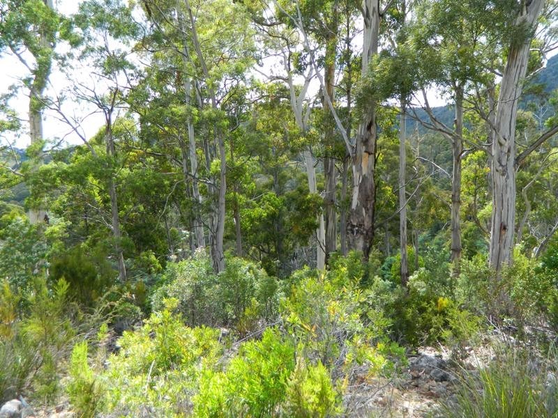 Lot 2, 19 Collins Cap Road, Collinsvale TAS 7012
