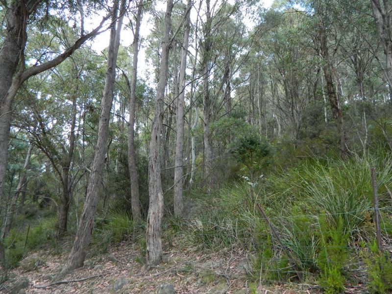 Lot 2, 19 Collins Cap Road, Collinsvale TAS 7012