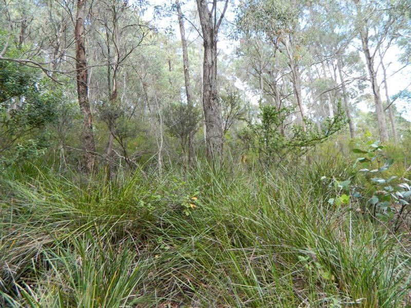 Lot 2, 19 Collins Cap Road, Collinsvale TAS 7012