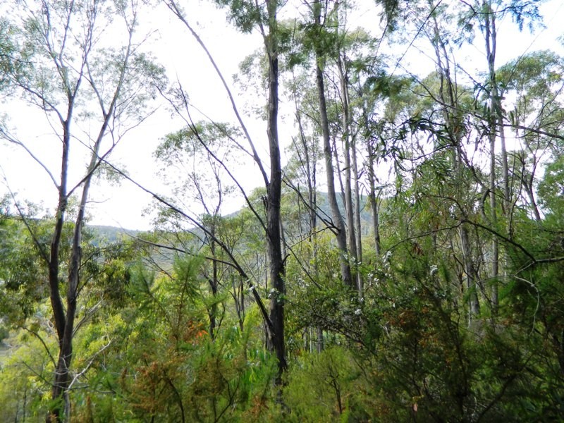 Lot 2, 19 Collins Cap Road, Collinsvale TAS 7012