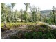 1380 Bluff Road, Elderslie TAS 7030