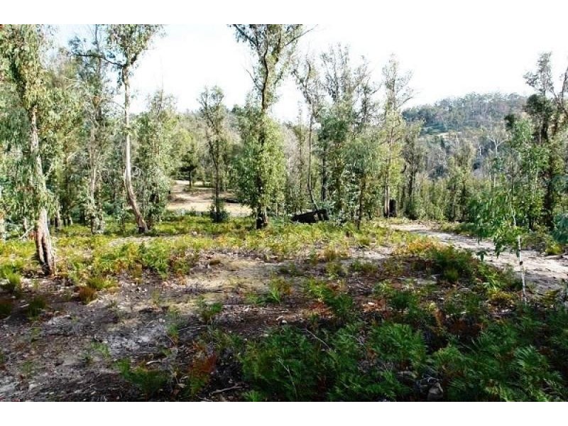 1380 Bluff Road, Elderslie TAS 7030
