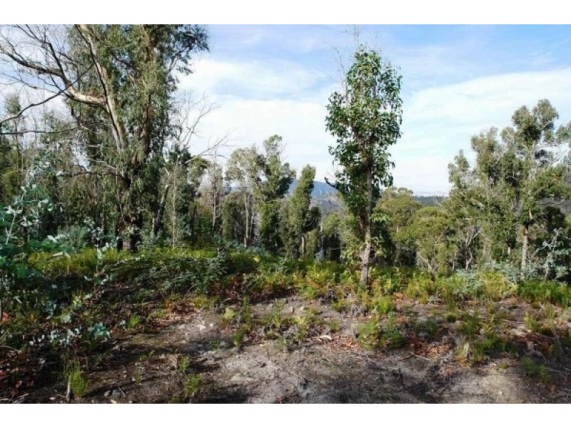 1380 Bluff Road, Elderslie TAS 7030