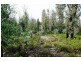 1380 Bluff Road, Elderslie TAS 7030