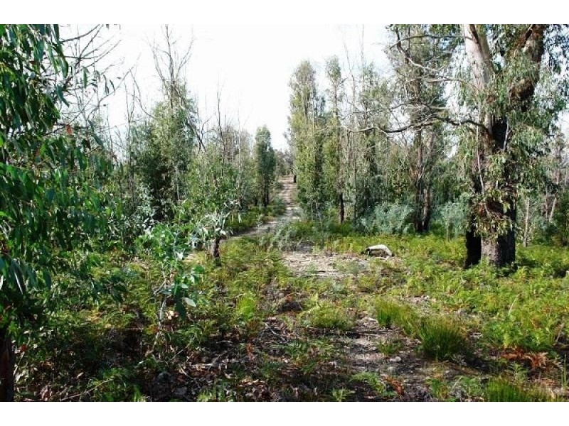 1380 Bluff Road, Elderslie TAS 7030