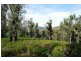 1380 Bluff Road, Elderslie TAS 7030