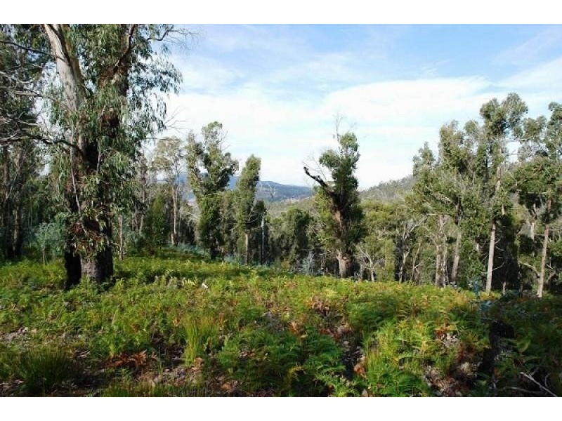 1380 Bluff Road, Elderslie TAS 7030