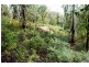 1380 Bluff Road, Elderslie TAS 7030