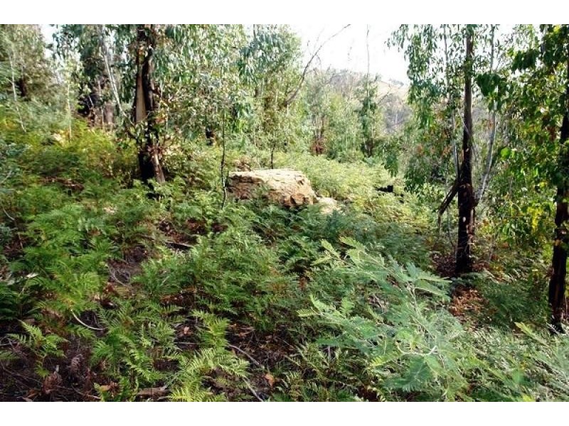 1380 Bluff Road, Elderslie TAS 7030