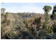 1380 Bluff Road, Elderslie TAS 7030