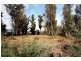 1380 Bluff Road, Elderslie TAS 7030