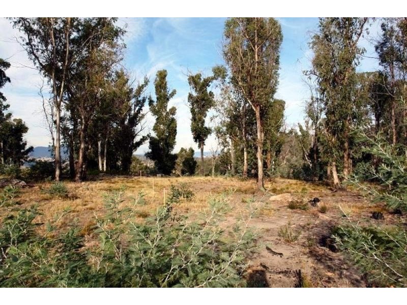 1380 Bluff Road, Elderslie TAS 7030