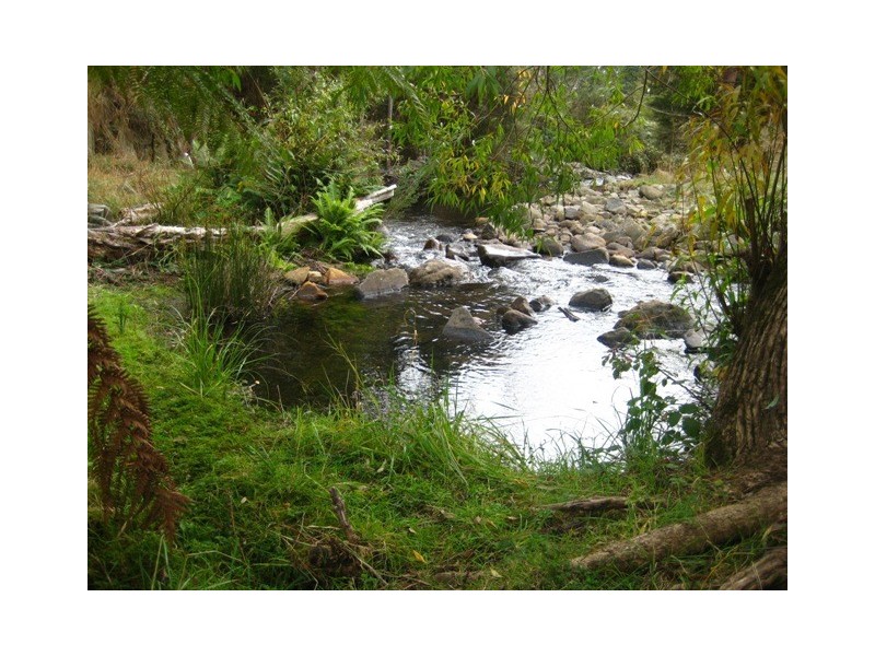 418 Glen Dhu Road, Molesworth TAS 7140