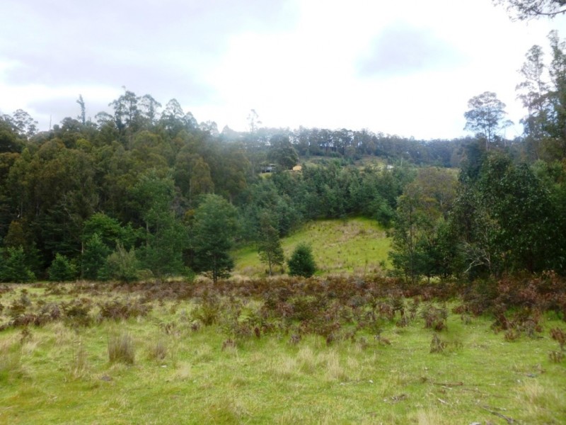 00 HUNGRY FLATS ROAD, Tunnack TAS 7120