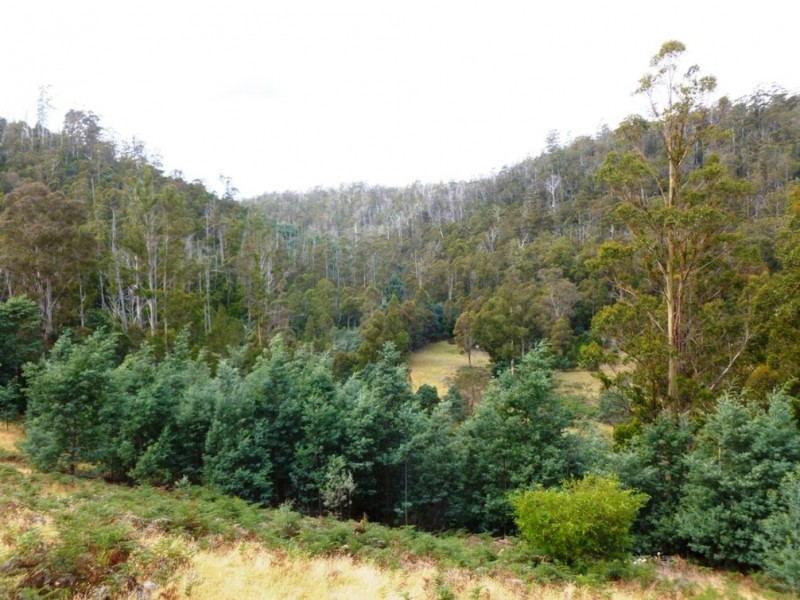 00 HUNGRY FLATS ROAD, Tunnack TAS 7120