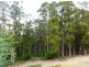 00 HUNGRY FLATS ROAD, Tunnack TAS 7120