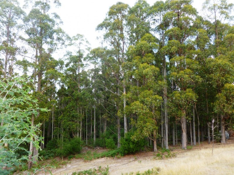 00 HUNGRY FLATS ROAD, Tunnack TAS 7120