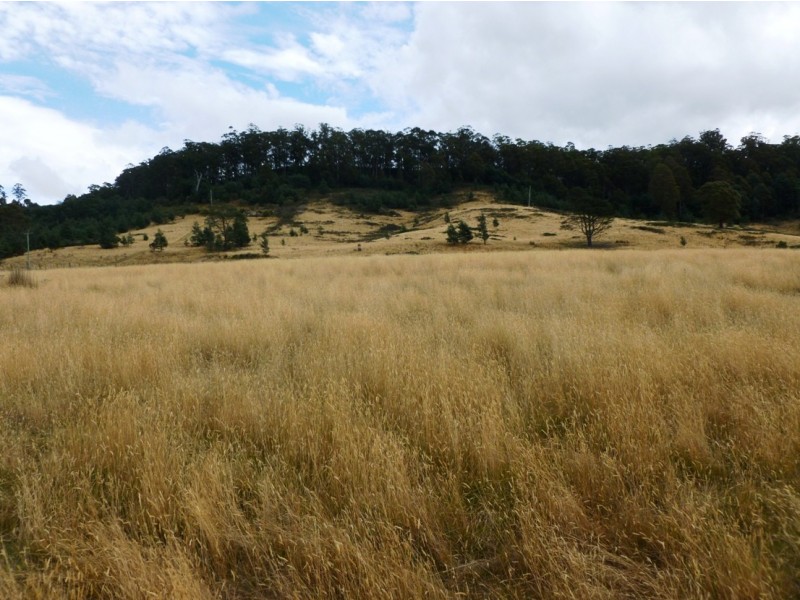 00 HUNGRY FLATS ROAD, Tunnack TAS 7120